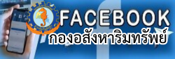 Relateds Banner-6838263986b67.png